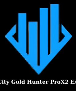 CITY GOLD HUNTER PROx2 EA